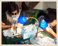 Lilly Rahmann- Identifying Gems with Microscope
